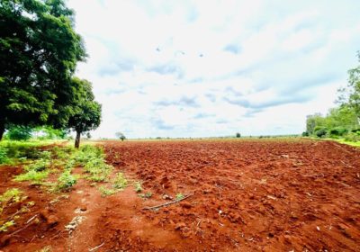 35 acres red soil land property karnataka