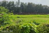 5.5 acre at Hoshangabad Road Urgent Sale