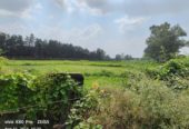 5.5 acre at Hoshangabad Road Urgent Sale