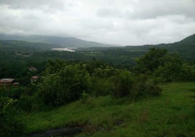 Half acre plot at Rule village near panshet