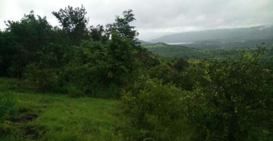 Half acre plot at Rule village near panshet