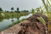 FARM PLOTS AT Riverfront