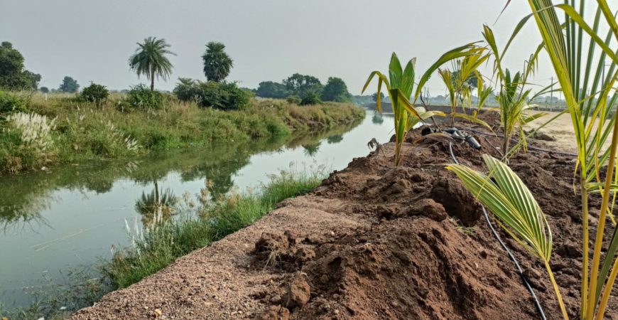 FARM PLOTS AT Riverfront