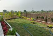 FARM PLOTS AT Riverfront