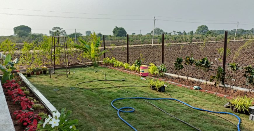 FARM PLOTS AT Riverfront