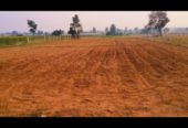 10 GUNTAS FARM Land SALE NEAR TO PREGNSPOOR