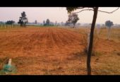 10 GUNTAS FARM Land SALE NEAR TO PREGNSPOOR