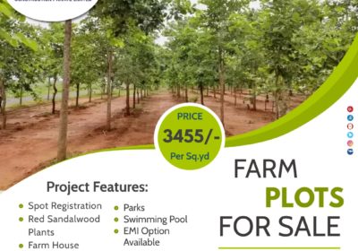 Farm Plot at Sarvepalle Mothkur Yadadri Warangal