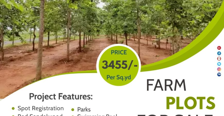 Farm Plot at Sarvepalle Mothkur Yadadri Warangal