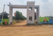 Farm Plot at Sarvepalle Mothkur Yadadri Warangal