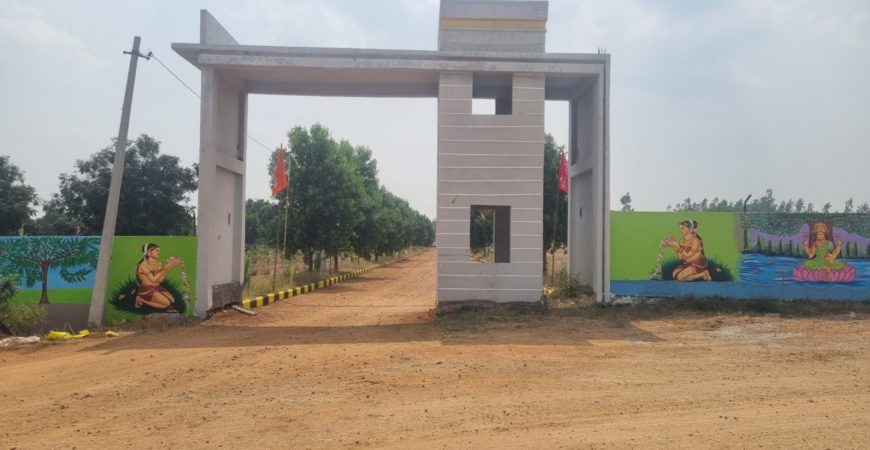 Farm Plot at Sarvepalle Mothkur Yadadri Warangal