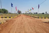 Farm Plot at Sarvepalle Mothkur Yadadri Warangal