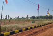 Farm Plot at Sarvepalle Mothkur Yadadri Warangal