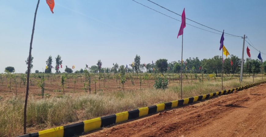 Farm Plot at Sarvepalle Mothkur Yadadri Warangal