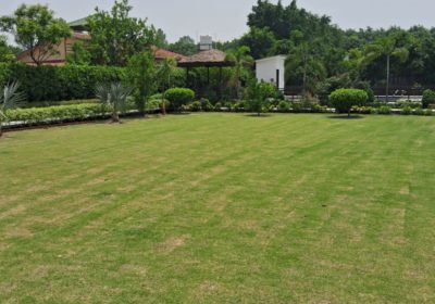 Fully Developed Farmland in Noida