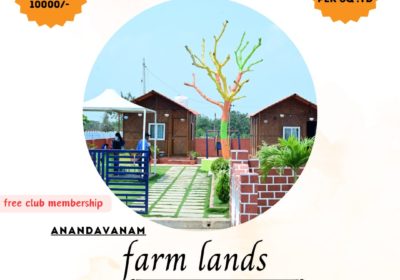 ANANDAVANAM FARM LANDS NEAR ALER YADAGIRIGUTTA