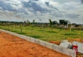 605Sq.Yards farm plot for sale