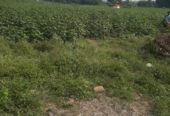 1 accer 5 guntas land for sale