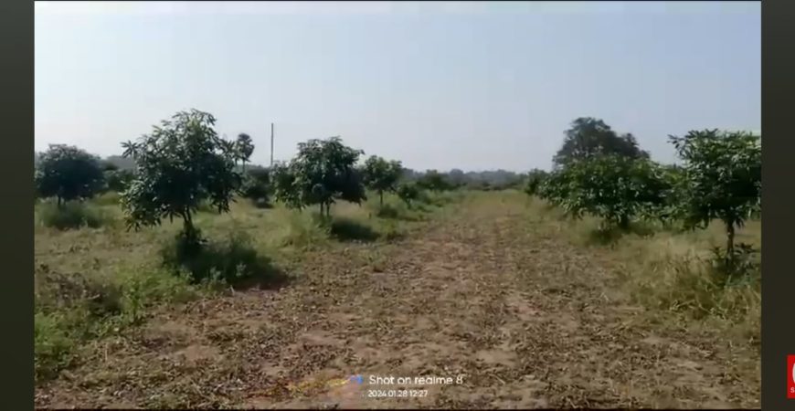 2 Acre 20 Guntala Mango Garden