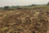 Managed Farm Plots in Budhera