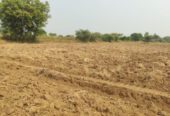 Managed Farm Plots in Budhera