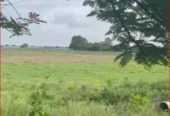 5 acres in Pocharam