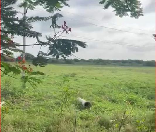 5 acres in Pocharam