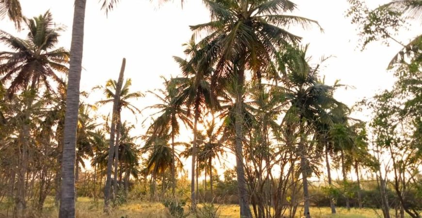 200 ACRES Farmland, 200 km from Bangalore