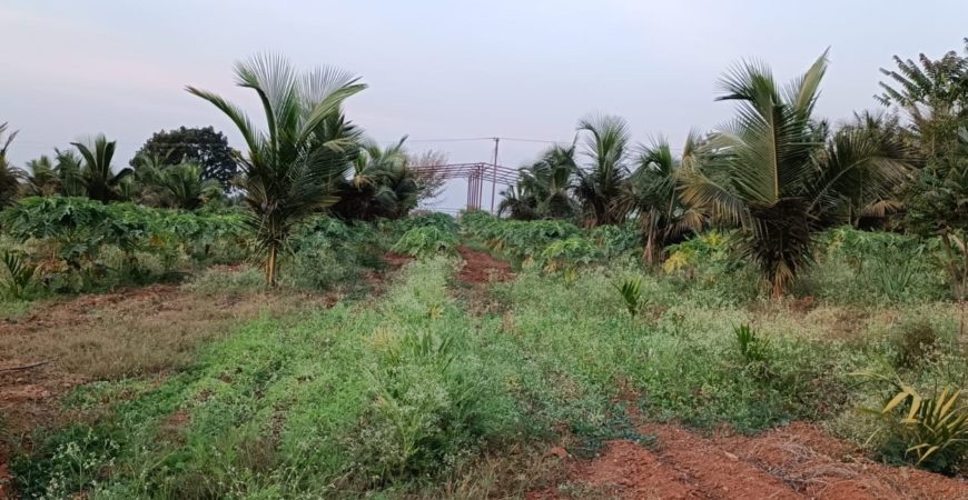 5+2 Acres farmhouse for sale near kunigal