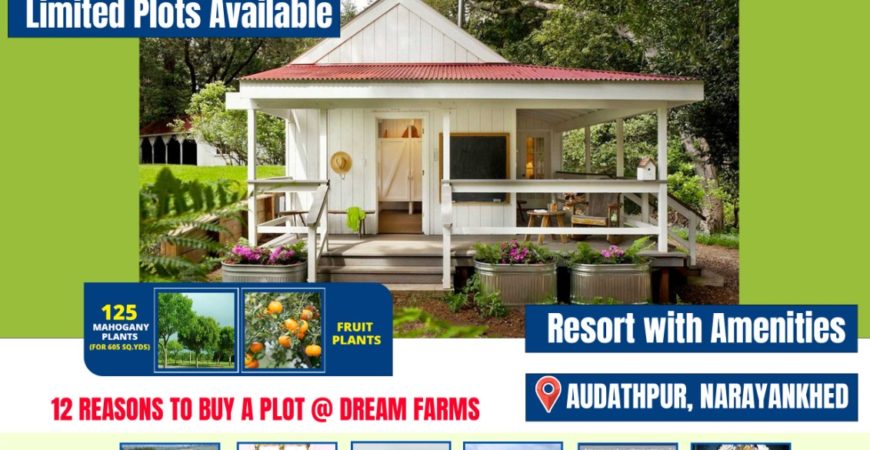 Dream Farms Plot