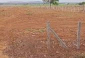 22 acres Farm Land in Jinnaram Mandal