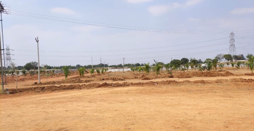 Mega Farm Plot Project