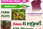 2.5 FARMLAND CHINNA KANDUKUR WARANGAL