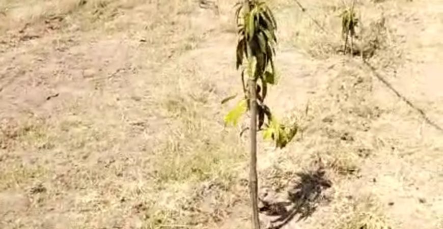 2.5 FARMLAND CHINNA KANDUKUR WARANGAL