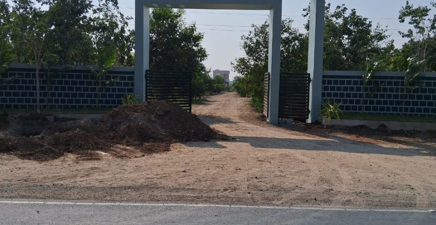 Red Sandal Farm Land in Mundlamuru Village