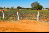 15 GUNTAS FARM LAND at WARGAL SARASWATHI TEMPle