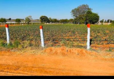 15 GUNTAS FARM LAND at WARGAL SARASWATHI TEMPle