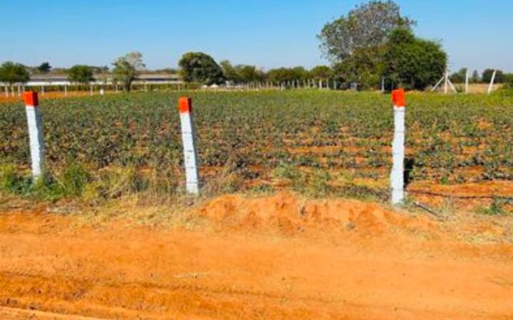 15 GUNTAS FARM LAND at WARGAL SARASWATHI TEMPle