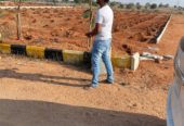 AVM VENTURES Farmland at Kalwakurthy