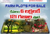 MANGO Farm Managed @WARANGAL HIGHWAY