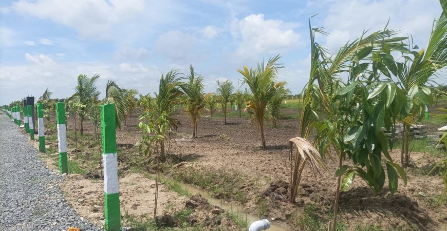 Farm land @CHENGALPATTU