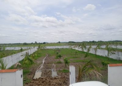 Farm land @CHENGALPATTU