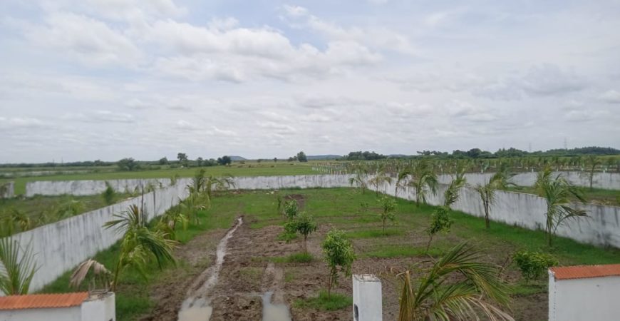 Farm land @CHENGALPATTU