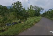 Farm Land @Kodaikanal Foothills