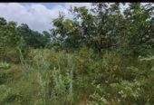 Farm Land @Kodaikanal Foothills