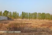 10 Guntas Farm Land near Bijapur Highway