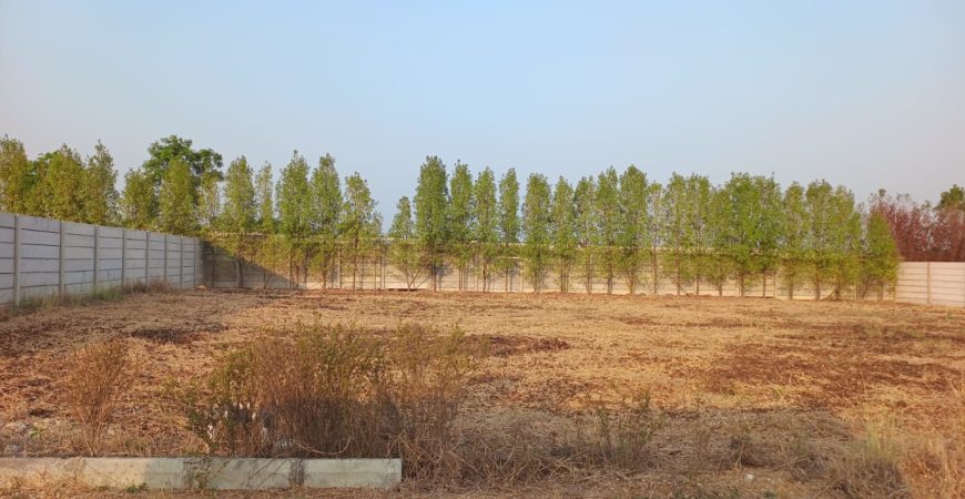 10 Guntas Farm Land near Bijapur Highway