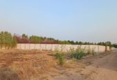 10 Guntas Farm Land near Bijapur Highway