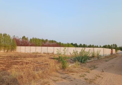 10 Guntas Farm Land near Bijapur Highway