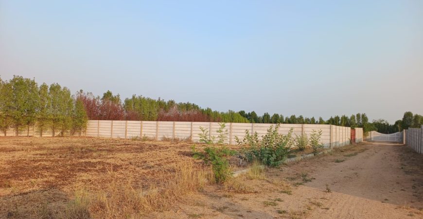 10 Guntas Farm Land near Bijapur Highway